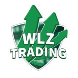 WLZ Investment ™