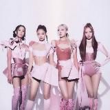 Blackpink_news