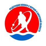 Amurbandy | Федерация хоккея с мячом Амурской области