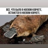 Четверговые