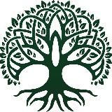 Waldkraft.bio
