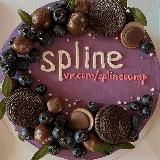 spline