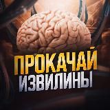 Прокачай извилины!