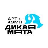 Арт-кэмп «ДИКАЯ МЯТА»