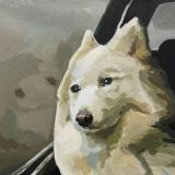 О. Макбейн / O. MACBAIN