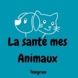 La santé mes animaux