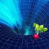 MathLiveOpen News