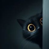 Miow