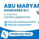 Aviakassa N1