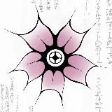 「sakuraim」
