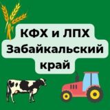 К