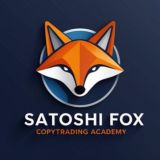 Satoshi Academy | Learning & Copy Trading
