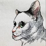 Рыночные циклы для детей(котов)