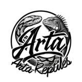 Arta reptiles 🐍