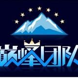 【巅峰7年老店】 僵尸粉 引流 真人粉