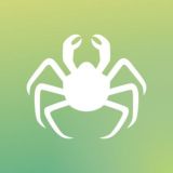Design Contest