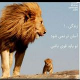 گروه گفتگو