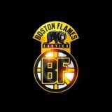 Boston flames Exotics loose / Designer packs