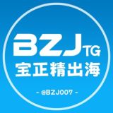 宝正精出海•资源项目海外支付交流群