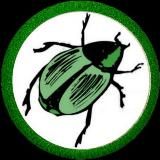 Maximal ants // интересное о муравьях!