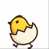 EggOpt Инкубационное Яйцо ОПТ🐣