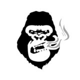 Vandal Vape | Підтримка Клієнтів
