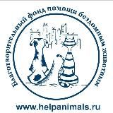 Благотворительный фонд помощи бездомным животным Екатеринбург