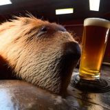 BeerChan