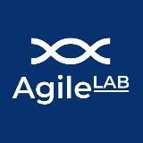 Agile Lab Consulting