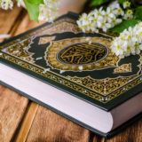إعلانات ومحاضرات أهل القرآن