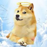 DOGE INU