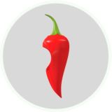 🌶 Перец | Острые новости