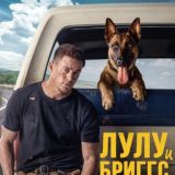 МЕЛЛСТРОЙ СТРИМЫ ТУТ