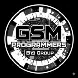 GSM Programmer's Files B19