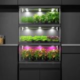 Cityfarmers - The Secret Room