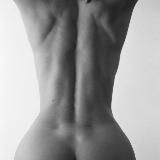 Linartica