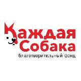БФ Каждая Собака – приют Кусь