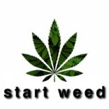 קהילה ראשית - StartWeed