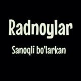 🌺 Radnoyla 🌺