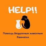 KAMZOO. RU