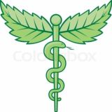 CANAL MEDICINA NATURISTA Y ALTERNATIVAS NATURALES