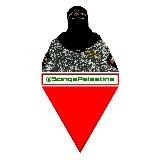 Songs Palestine