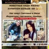❤️#кураторы_Света&Мила Помощь хвостикам Ростов на Дону и область у нас 🐶🐱🦮🐕🦺🐕150 (с хвостиком)собак 🐶и кошек 🐱