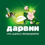 Дарвин
