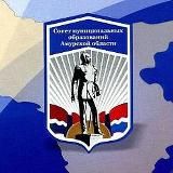 СМО Амурской области