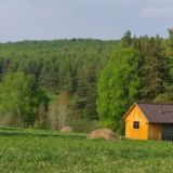Девушка и Лес 🌱