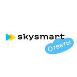 SkyAns