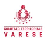 FIPAV Varese