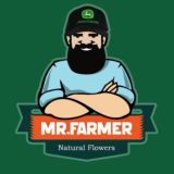 Mr Farmer canal