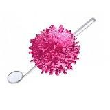 Streptococcus mutans